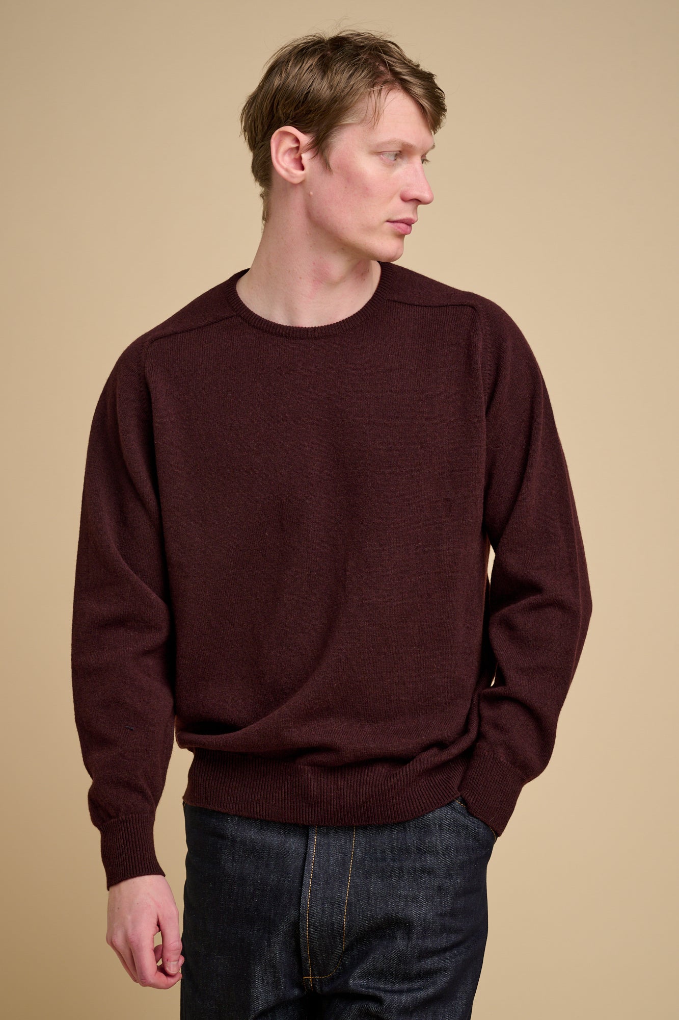 Man wearing a chocolate lambswool crew neck jumper against a beige background.